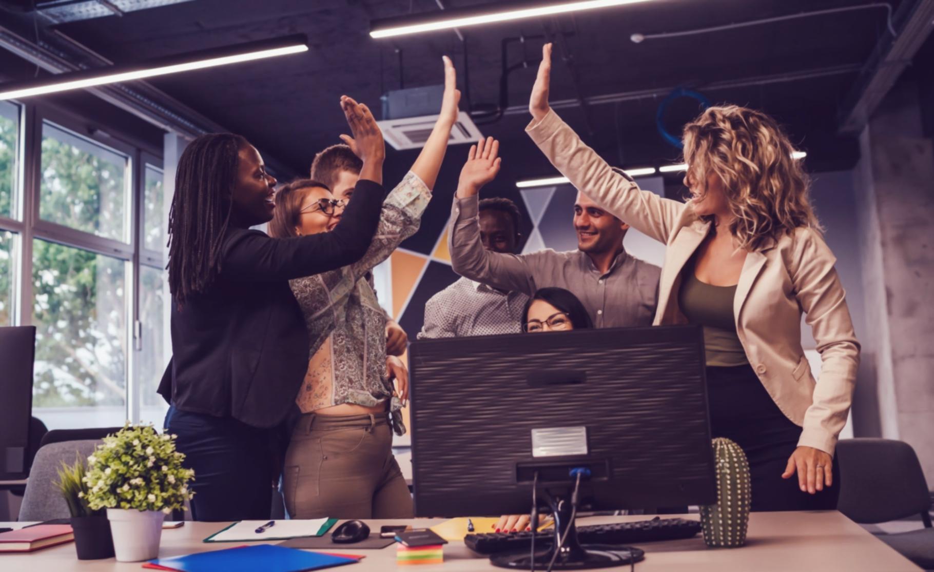 Hochwertige Arbeitsplätze mit kalibrierten Monitoren